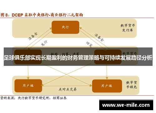 足球俱乐部实现长期盈利的财务管理策略与可持续发展路径分析