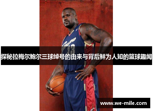 探秘拉梅尔鲍尔三球绰号的由来与背后鲜为人知的篮球趣闻