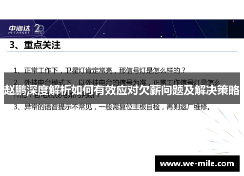 赵鹏深度解析如何有效应对欠薪问题及解决策略