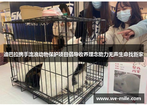 迪巴拉携手流浪动物保护项目倡导收养理念助力无声生命找新家