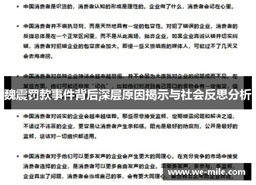 魏震罚款事件背后深层原因揭示与社会反思分析